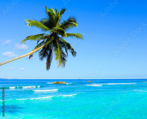 Paradise Resort Seaside