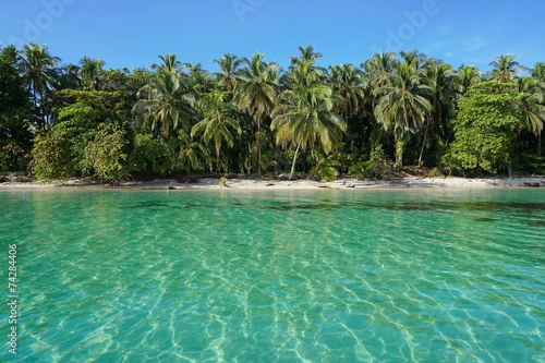 Fototapeta Naklejka Na Ścianę i Meble -  Peaceful Caribbean beach and clear water in Panama