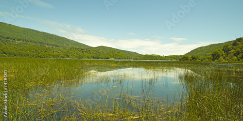 Laguna Malleco in Tolhuaca National Park. Chile photo