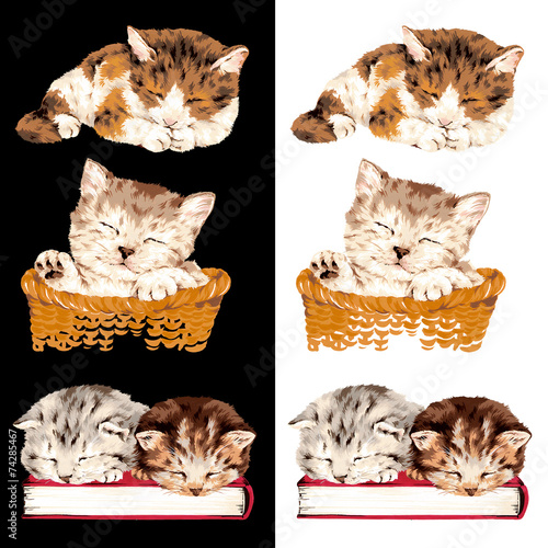 猫のイラスト，