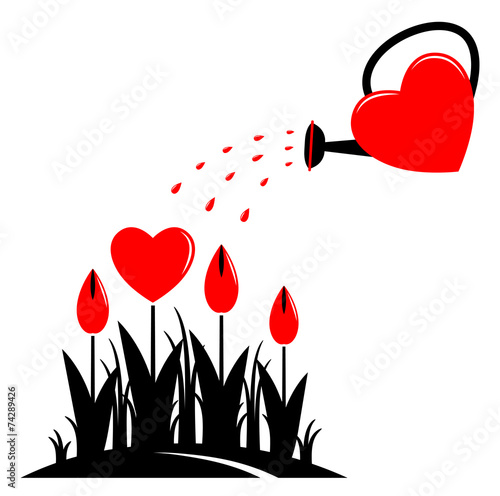 heart flowers and watering can