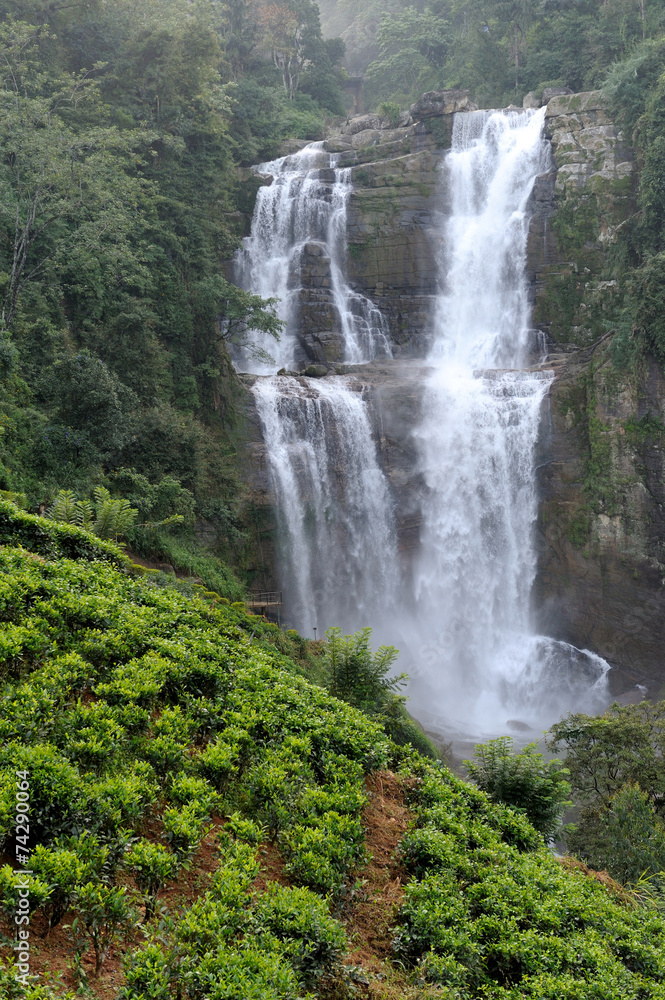 Ramboda falls in Sri Lanka