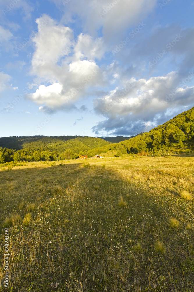Obraz premium Conguillio Park, Chile