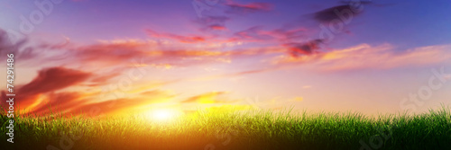Green grass on sunset sunny sky. Panorama, banner