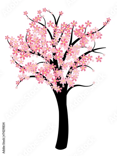 Cherry blossom tree vector