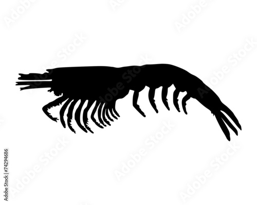 Krill