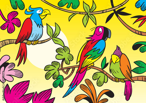 tropical parrots