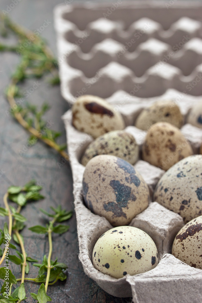 Quail eggs in the cardboard packing on the grey table Quail eggs in the cardboard packing on the grey table