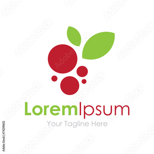 Tasty fruit food berrys concept elements icon logo