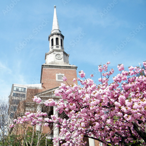 Washington Sakura in front of  Church 2010