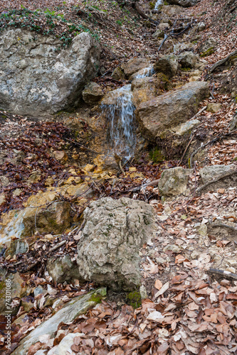 Small mountain stream