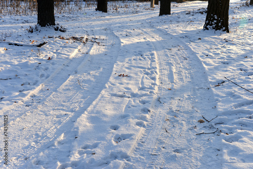 Wallpaper Mural Tire tracks Torontodigital.ca