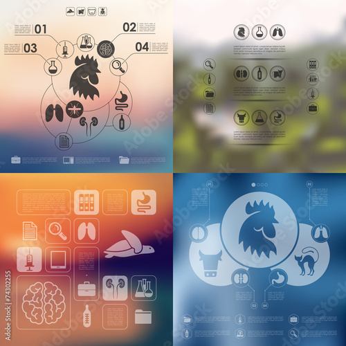 veterinary infographic with unfocused background