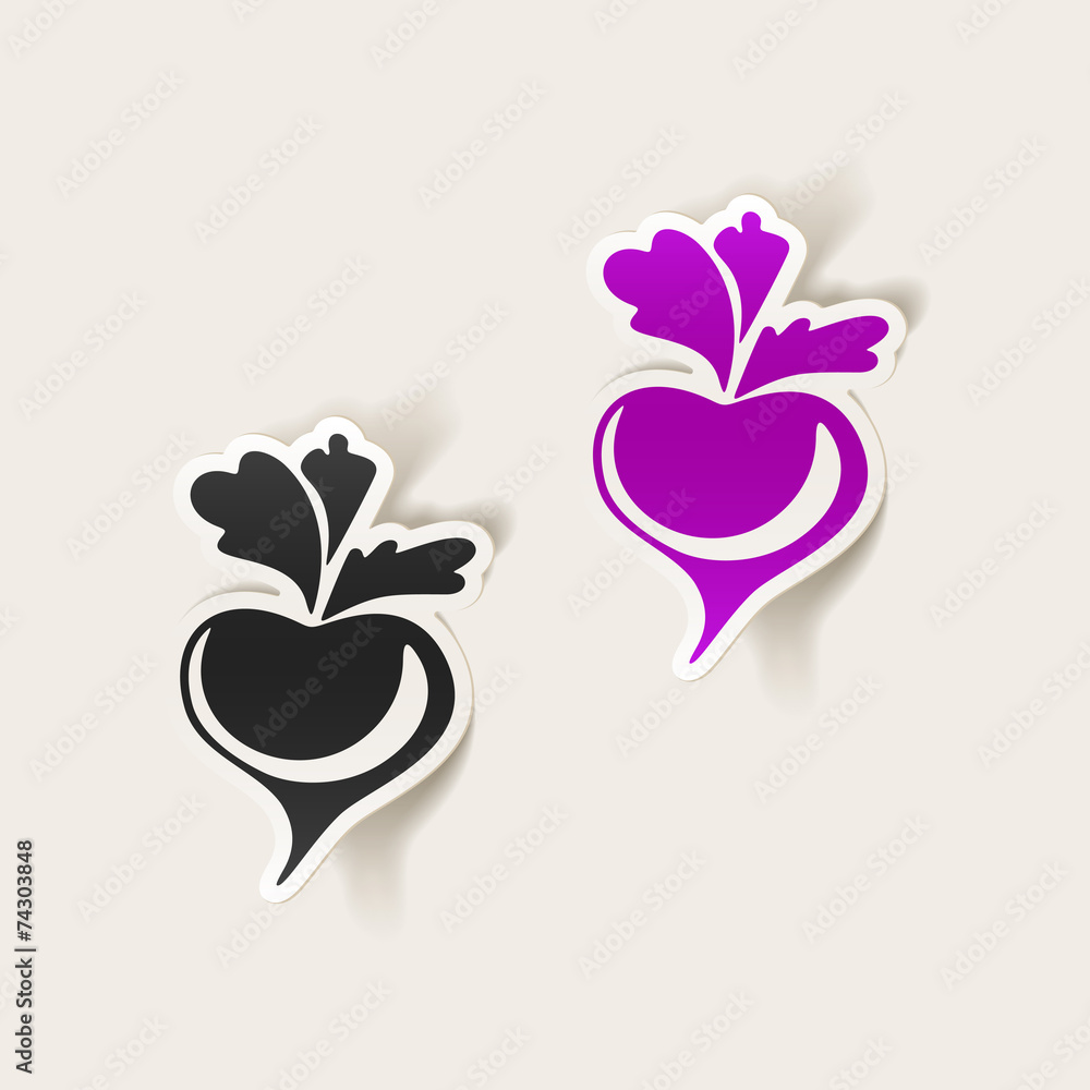 realistic design element: beet realistic design element: beet