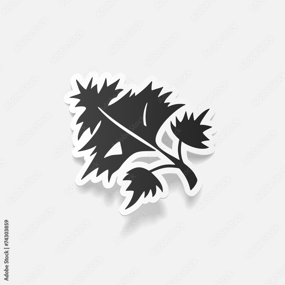 Obraz premium realistic design element: parsley, dill