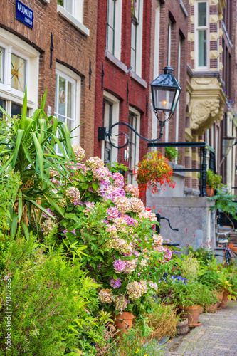 Fototapeta Naklejka Na Ścianę i Meble -  Beautiful house in Amsterdam