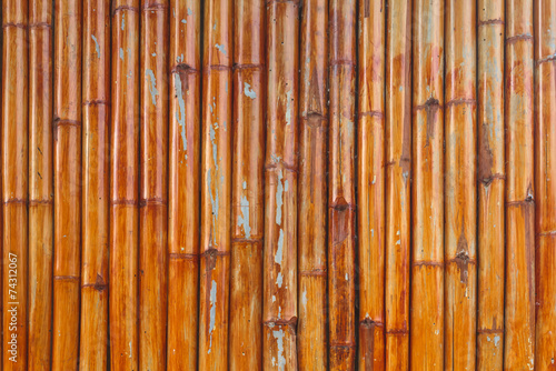 Bamboo background