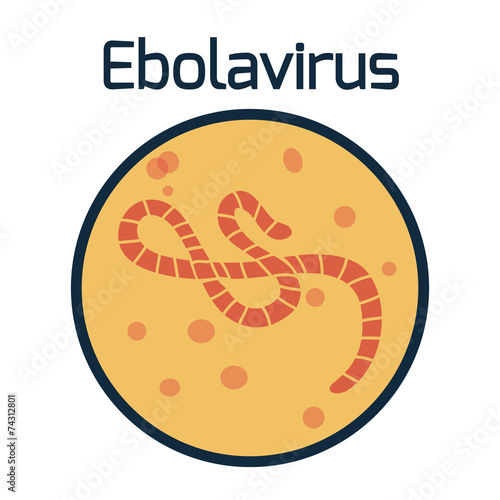 Ebola virus
