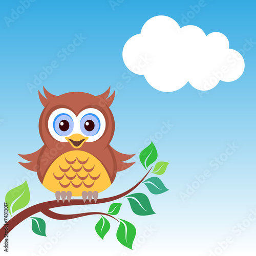 Owl on the branch