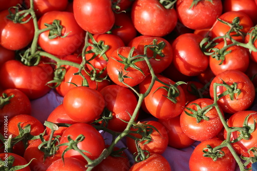 Amazing Fresh Red Tomatoes.