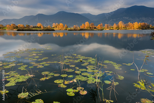 bog of sebino photo