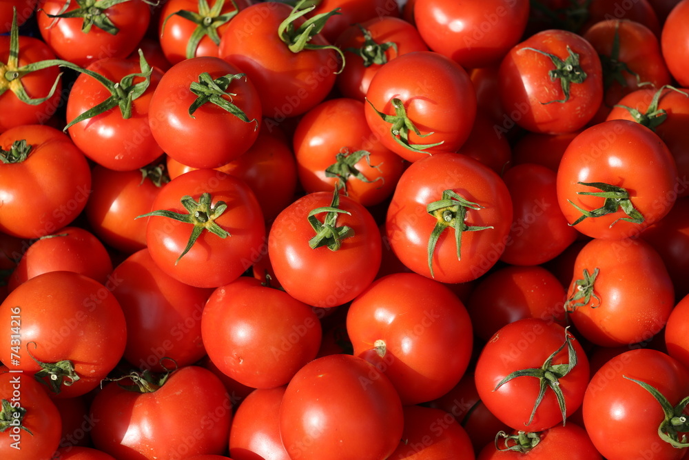 Amazing Fresh Red Tomatoes. Amazing Fresh Red Tomatoes.