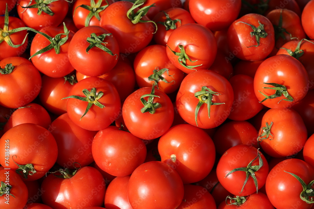 Amazing Fresh Red Tomatoes.