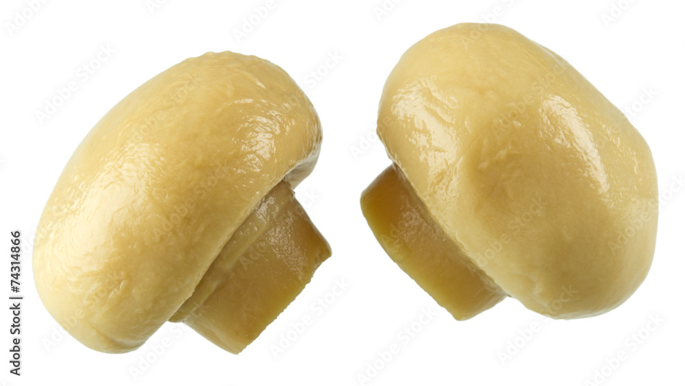 Conserved mushrooms Conserved mushrooms