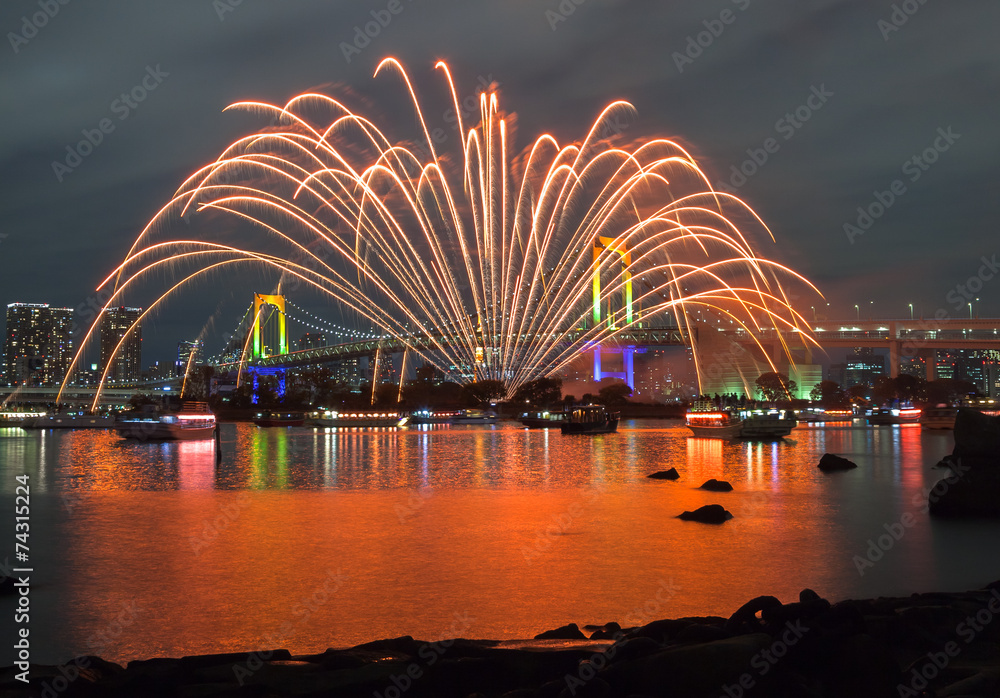 Fototapeta premium お台場レインボー花火2014