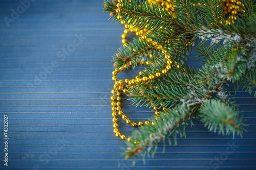 fur-tree branch with snow