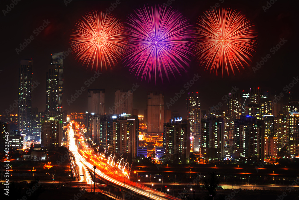 Obraz premium Firework display in USA