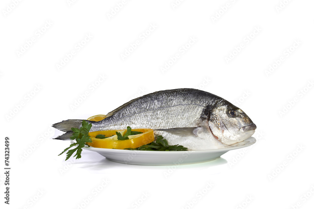 Large fish sea bream orata gutted Large fish sea bream orata gutted