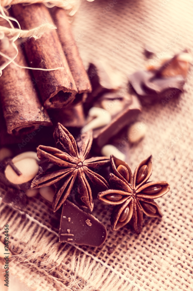 Closeup of star anise and cinnamon sticks Closeup of star anise and cinnamon sticks