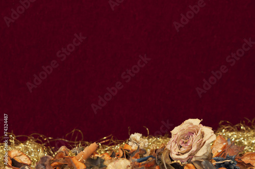 Roter Samt Hintergrund mit Rose photo