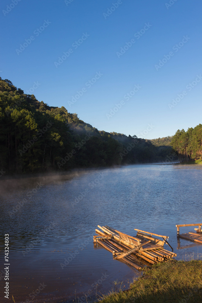 Obraz premium lake an forest