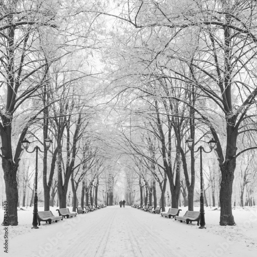 winter city park in morning
