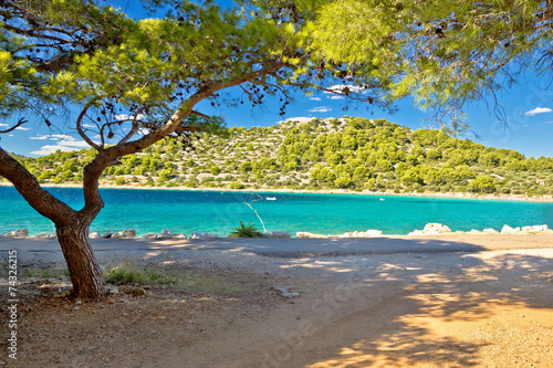 Fototapeta Naklejka Na Ścianę i Meble -  Turquoise pine tree beach of Croatia