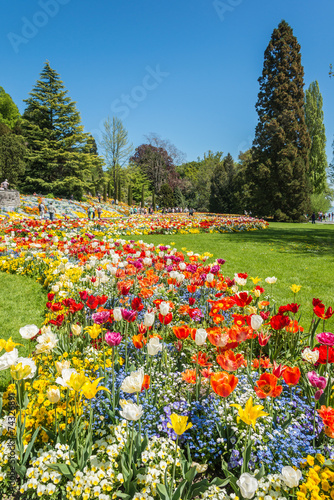 Fototapeta Naklejka Na Ścianę i Meble -  Blumen und Bäume