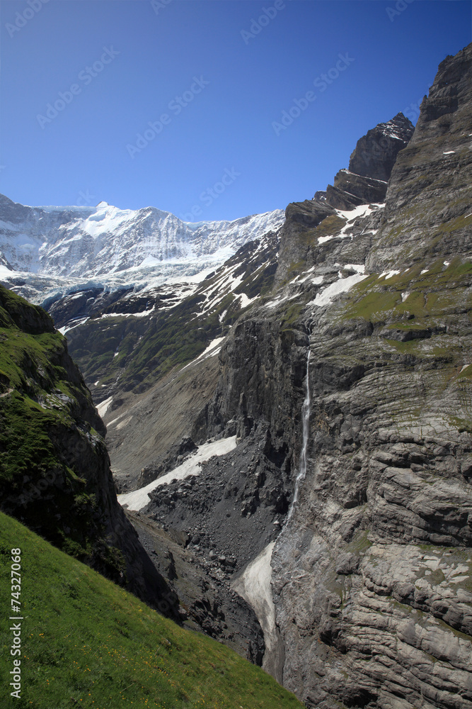 Fiescherhorn mit Grindelwaldgletscher