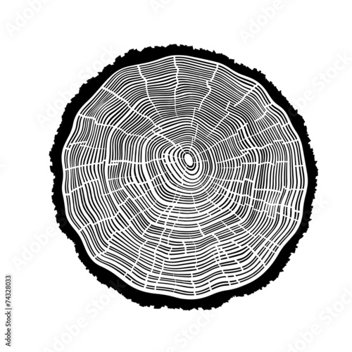 Rings of a tree with cracks.