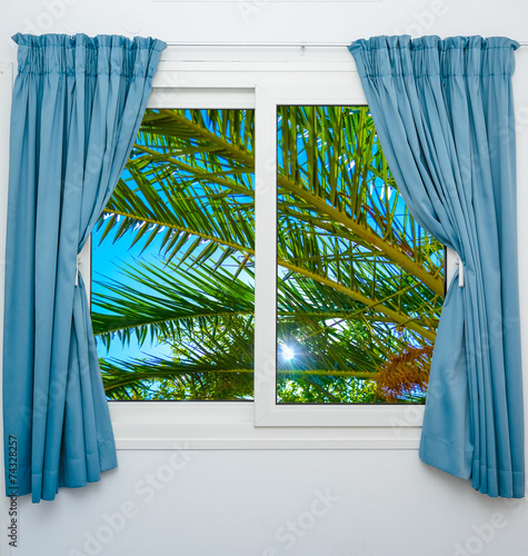 window view of the sea palm