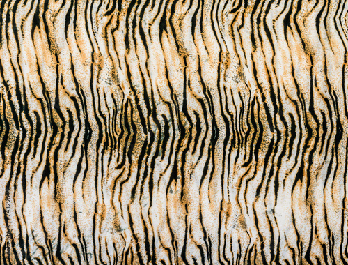 texture of close up print fabric striped tiger