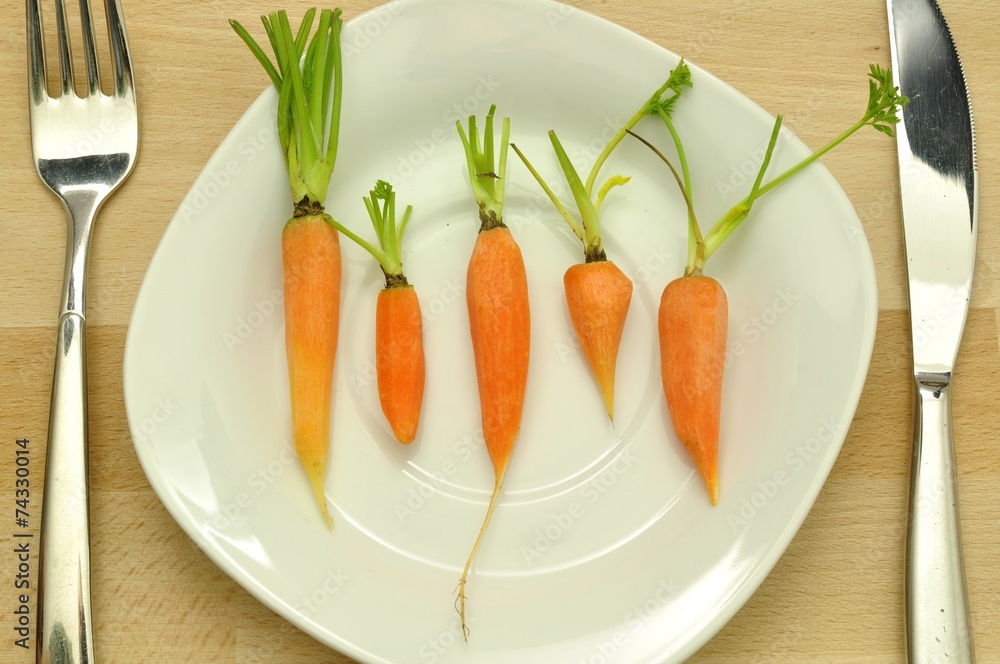 Karotten Diät