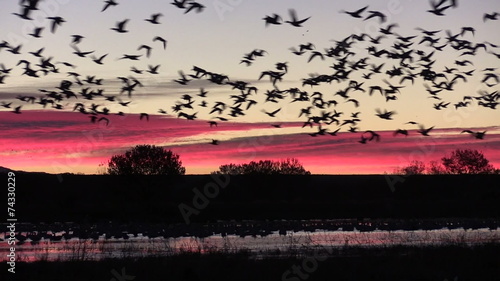 Bosque Del Apache NWR Sunrise