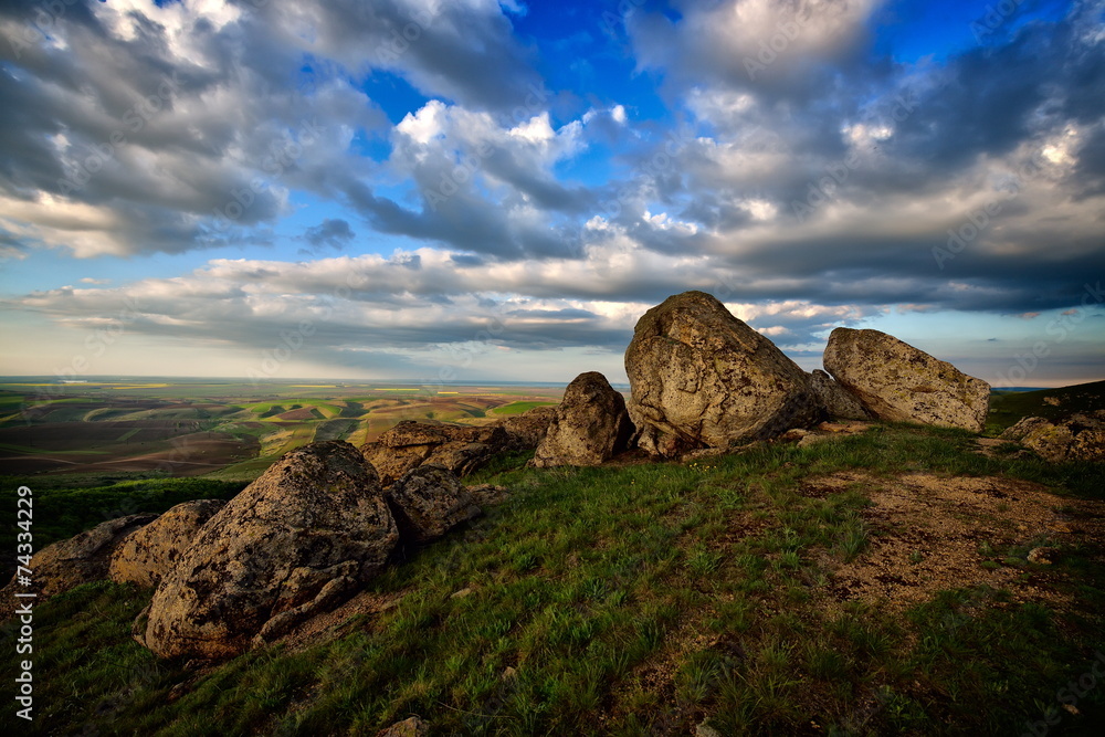 landscape in spring