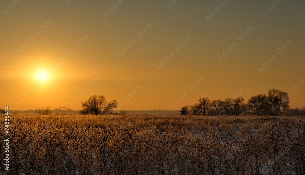 Winter sunset