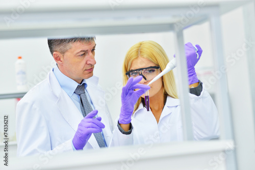 two people working in the laboratory