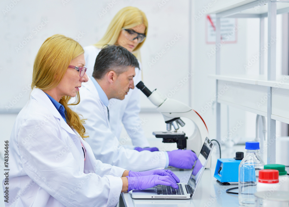 group of people working in the laboratory group of people working in the laboratory