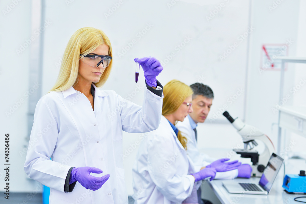 group of people working in the laboratory group of people working in the laboratory