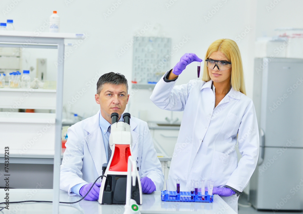 two people working in the laboratory two people working in the laboratory